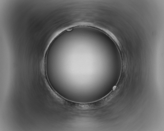X0000115510911200911061354