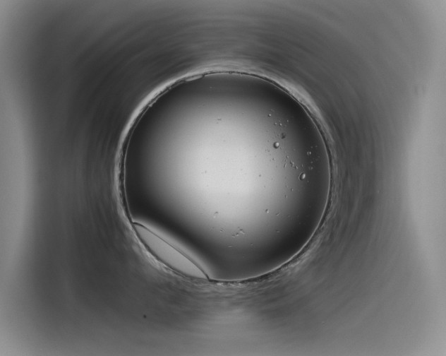 X0000115510912200911061354