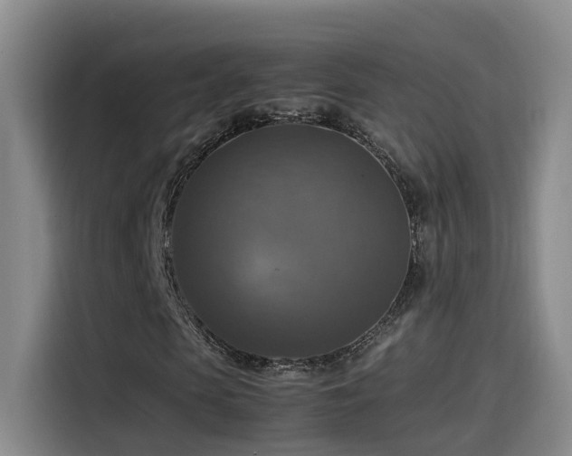X0000115510913200911061353