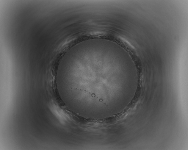 X0000115510917200911061353