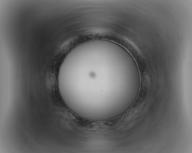 X0000115510918200911061353