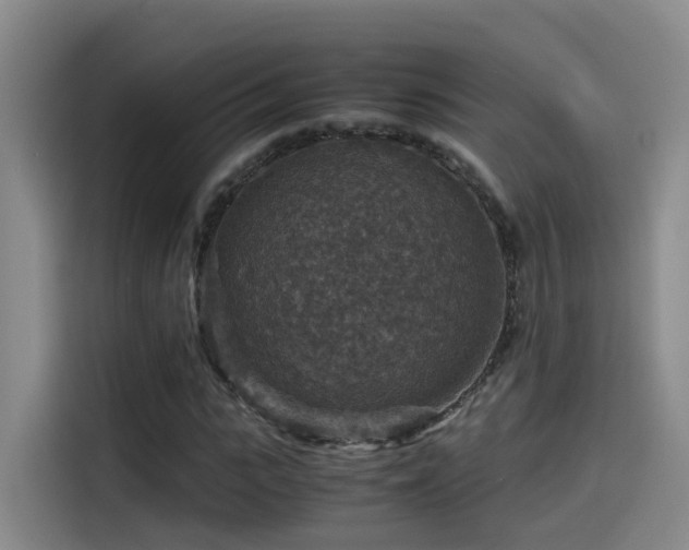 X0000115510919200911061353