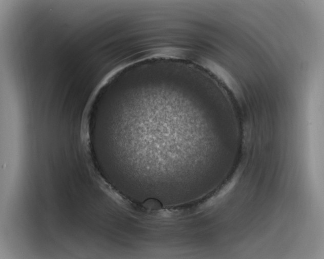 X0000115510923200911061353