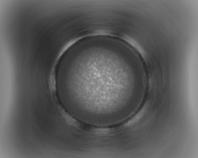 X0000115510925200911061353