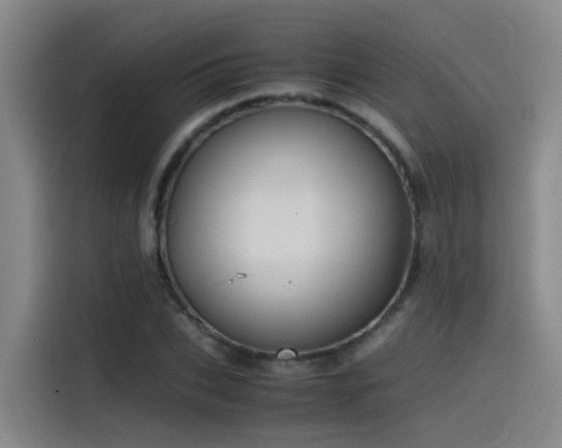 X0000115510927200911061353
