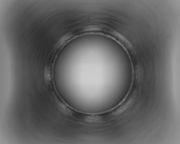 X0000115510929200911061353