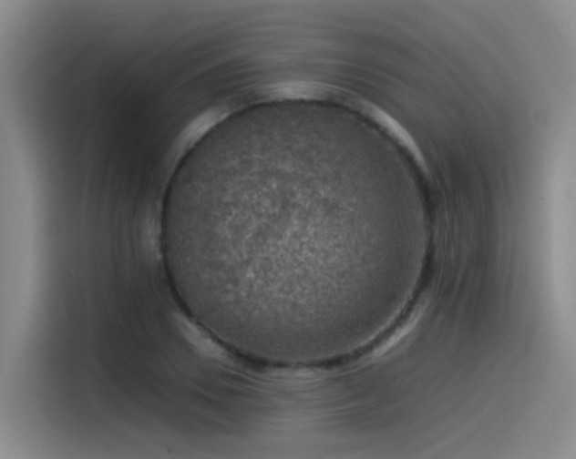 X0000115510930200911061353