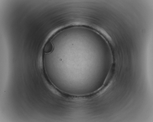 X0000115510934200911061353