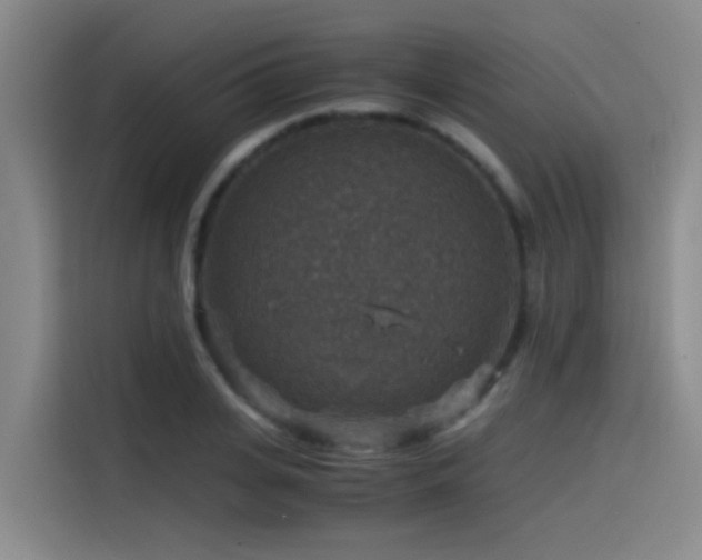 X0000115510935200911061353
