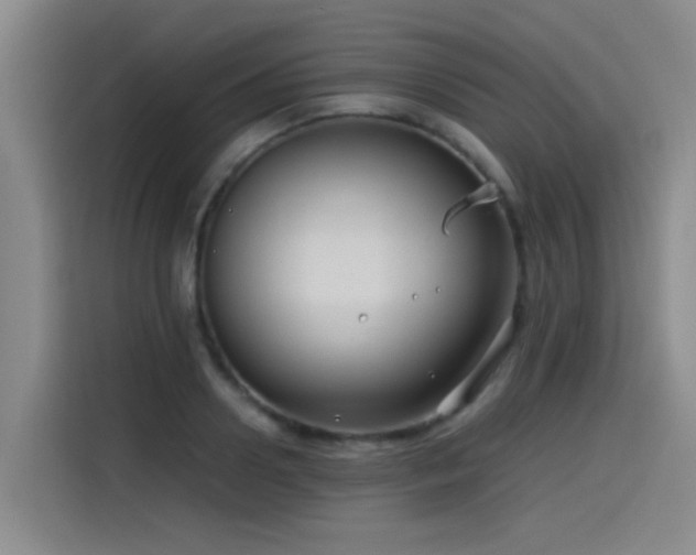 X0000115510938200911061353