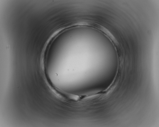 X0000115510939200911061353