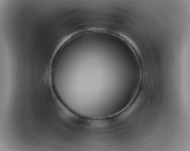 X0000115510941200911061353