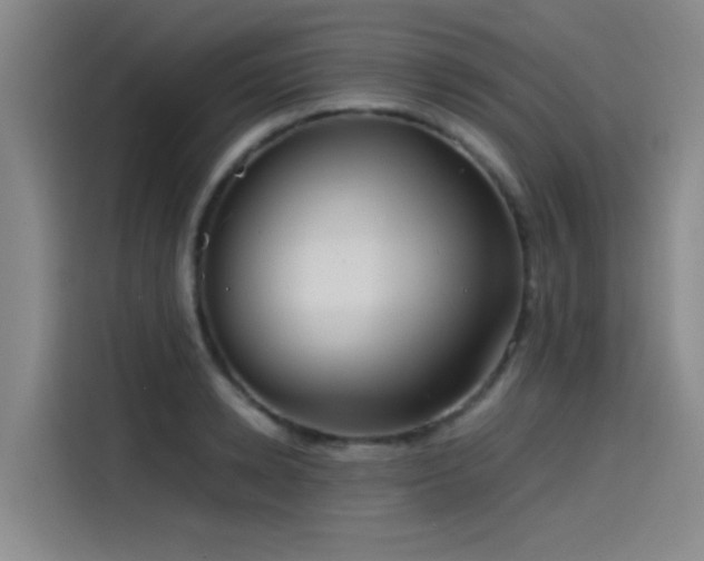 X0000115510942200911061353