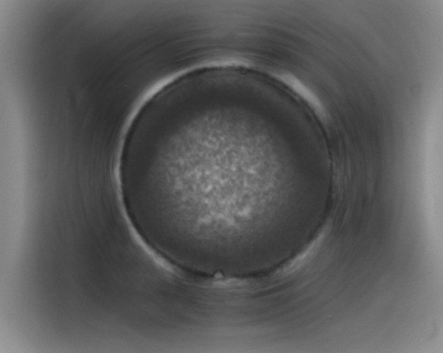 X0000115510943200911061354