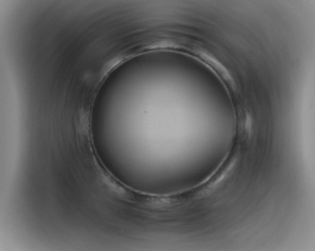 X0000115510945200911061354
