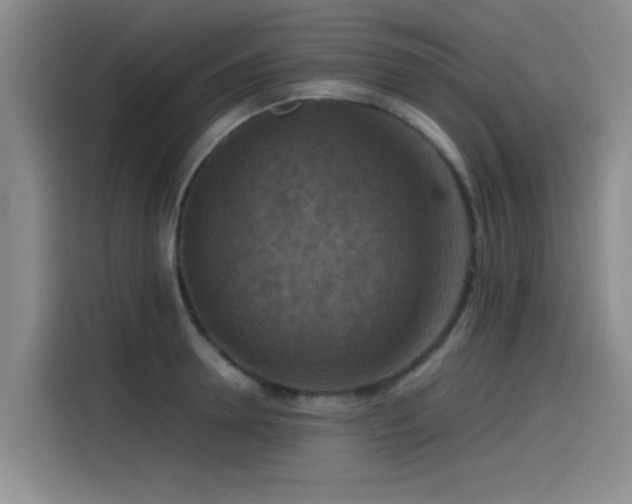 X0000115510946200911061354