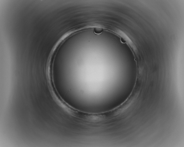 X0000115510947200911061354