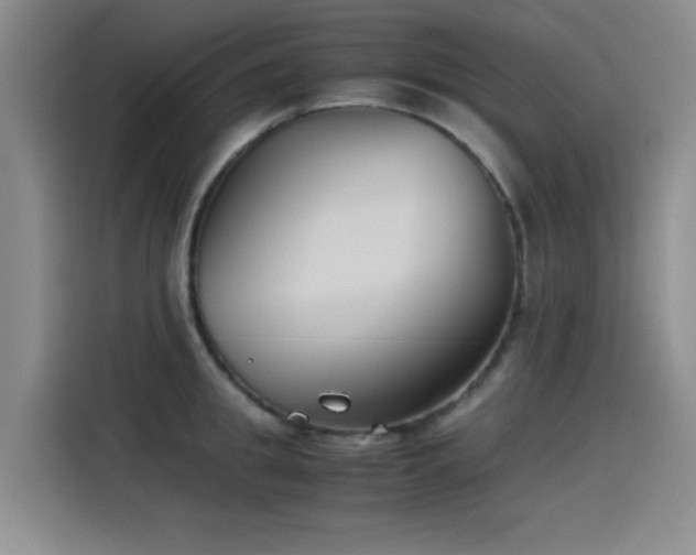 X0000115510949200911061354