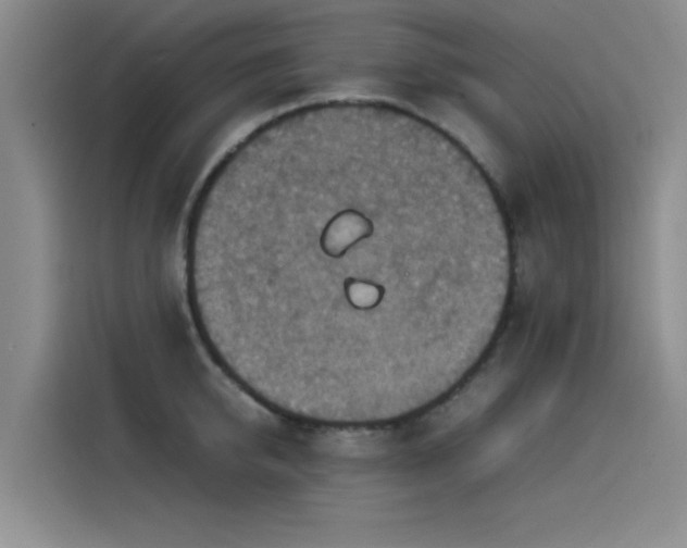 X0000115510950200911061354