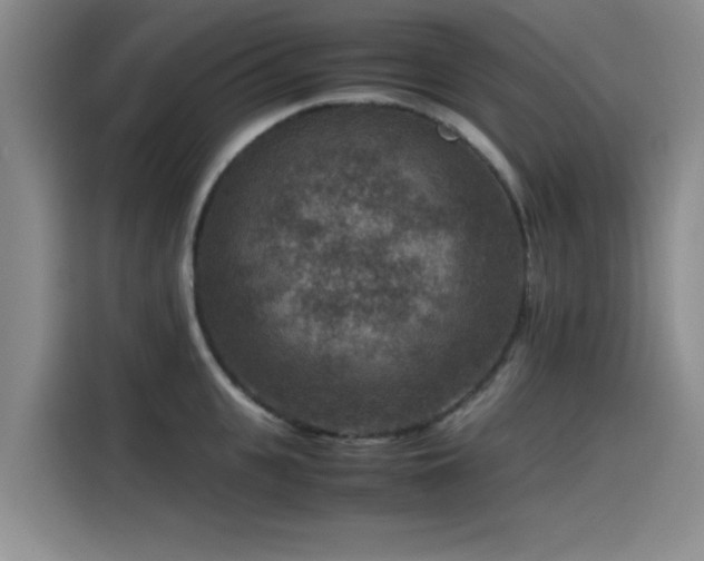 X0000115510951200911061354