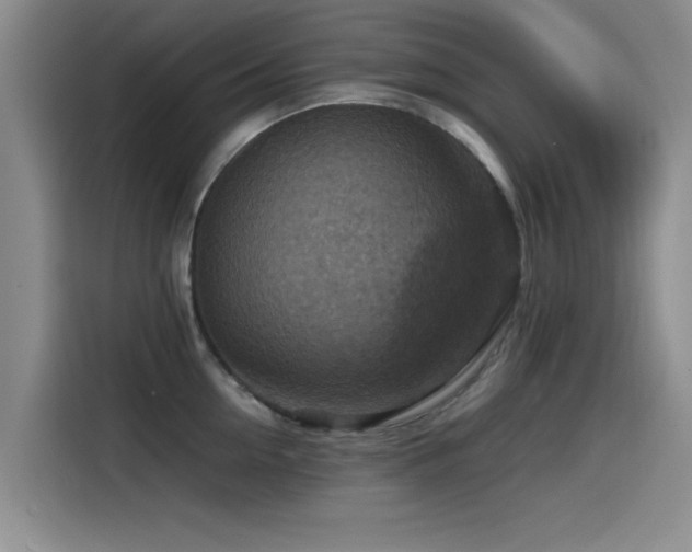X0000115510954200911061354