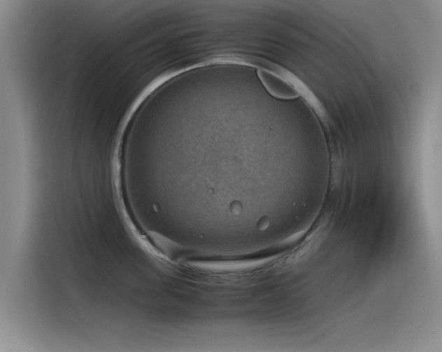 X0000115510955200911061354