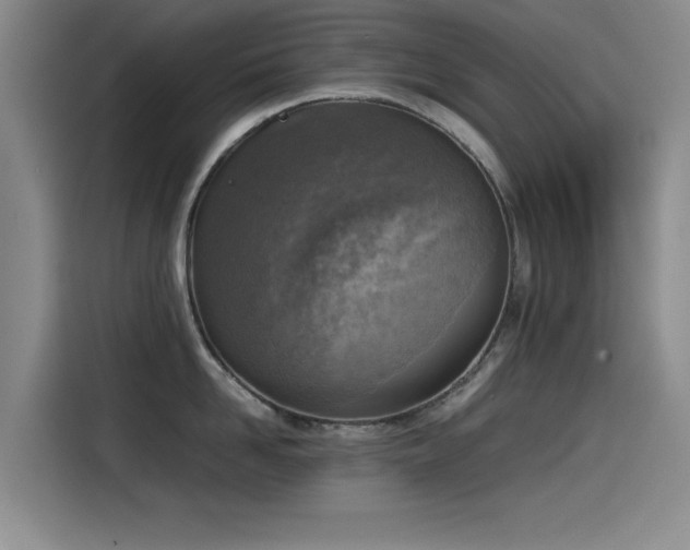X0000115510958200911061354