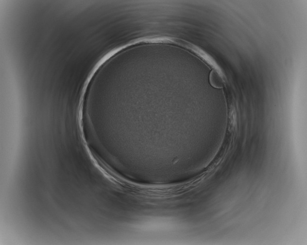 X0000115510959200911061354