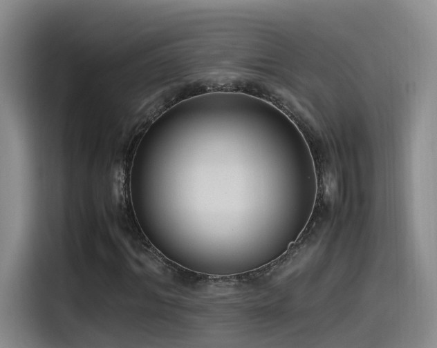 X0000115510964200911061353