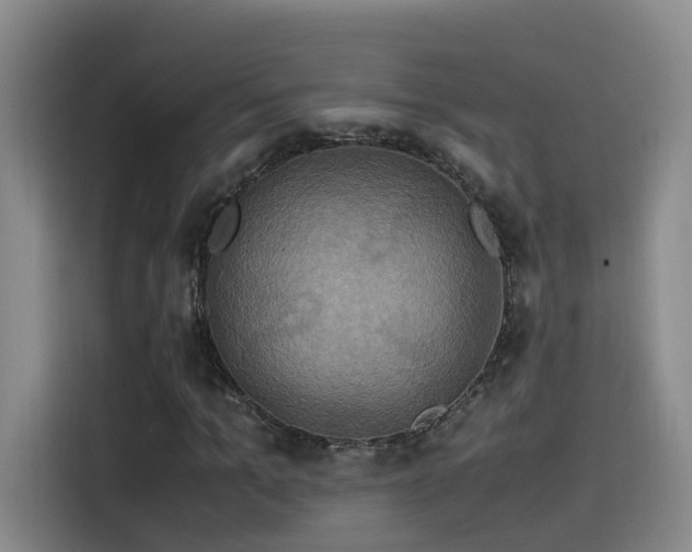 X0000115510965200911061353
