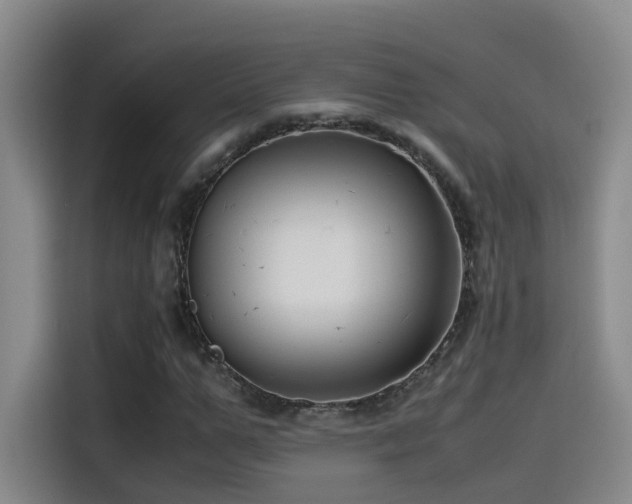 X0000115510967200911061353