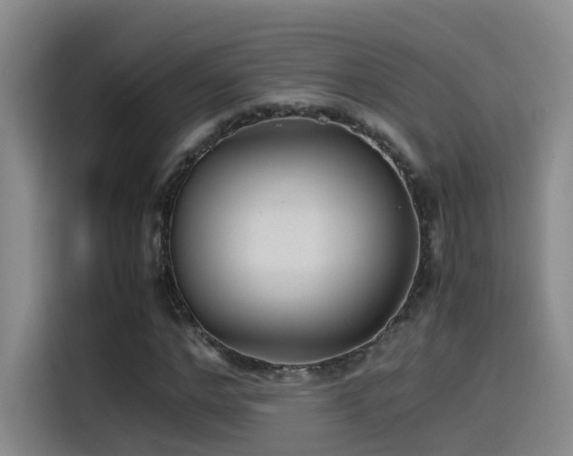 X0000115510968200911061353