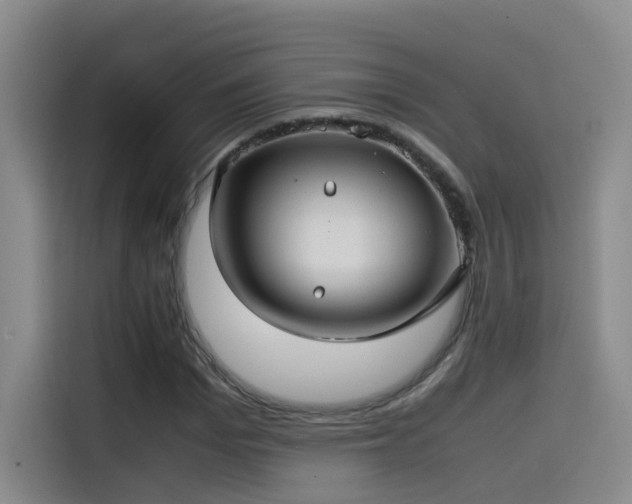 X0000115510969200911061353