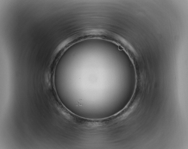 X0000115510970200911061353