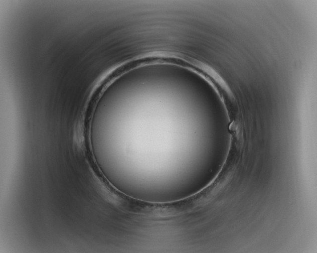 X0000115510972200911061353