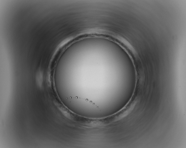 X0000115510974200911061353
