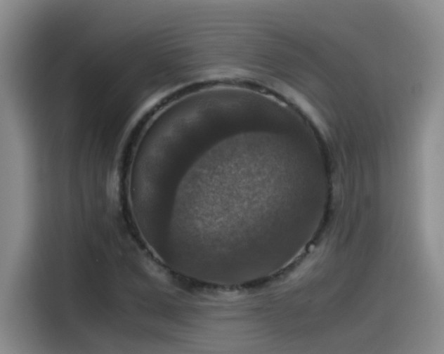 X0000115510975200911061353