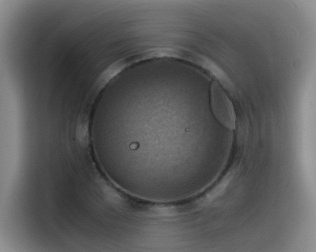 X0000115510977200911061353
