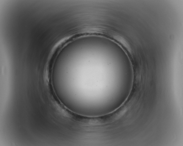X0000115510979200911061353