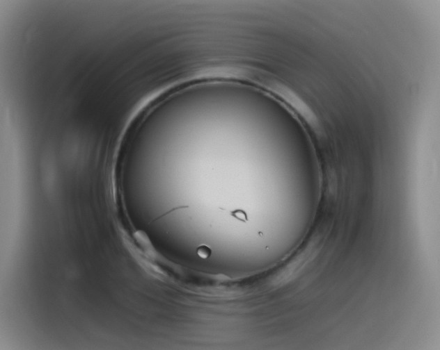 X0000115510980200911061353