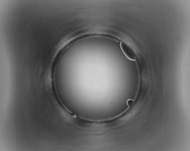 X0000115510981200911061353