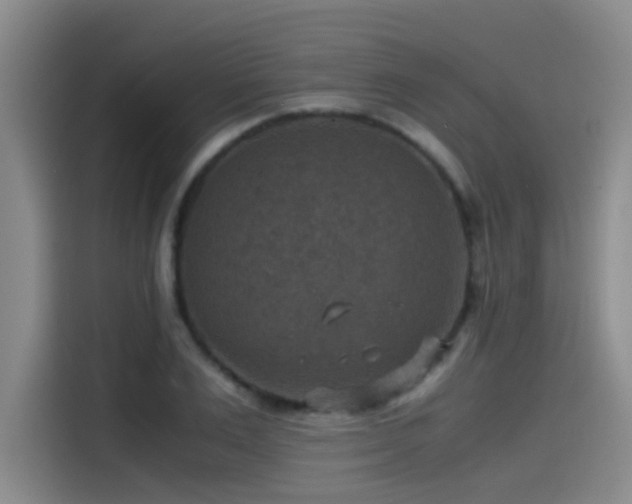 X0000115510983200911061353