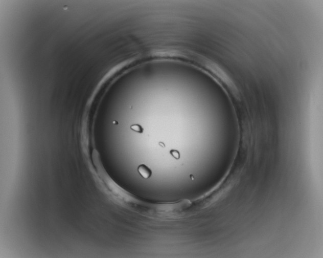 X0000115510984200911061353