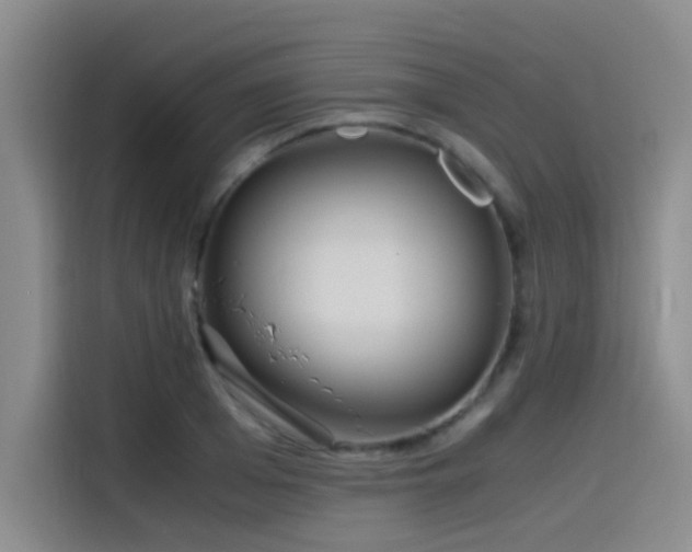 X0000115510985200911061353