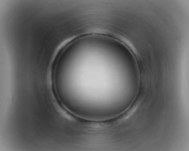 X0000115510987200911061353