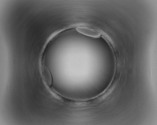 X0000115510989200911061353