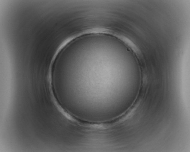 X0000115510990200911061353