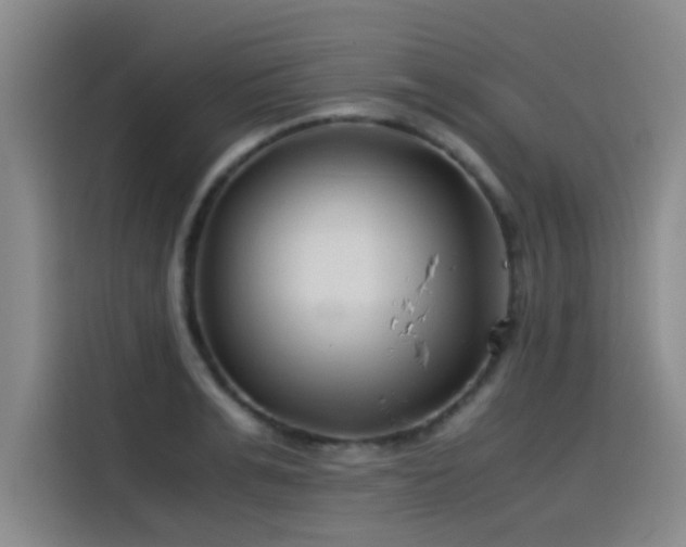 X0000115510991200911061353