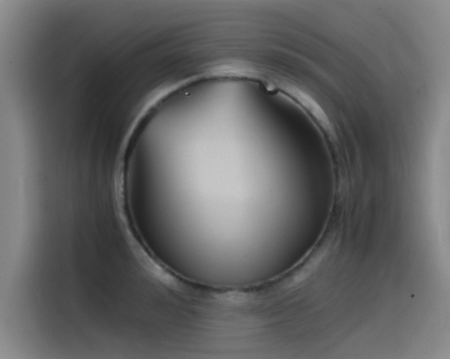 X0000115510992200911061353