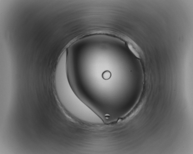X0000115510993200911061353